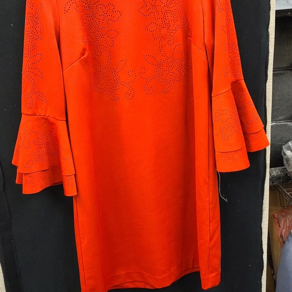 Dress - Picture 4 of 5